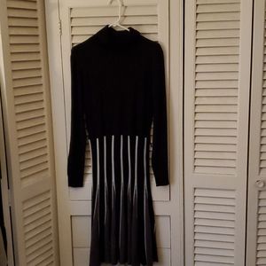 Turtle neck sweater dress